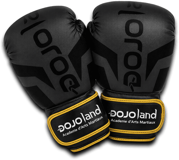 Gants de Boxe