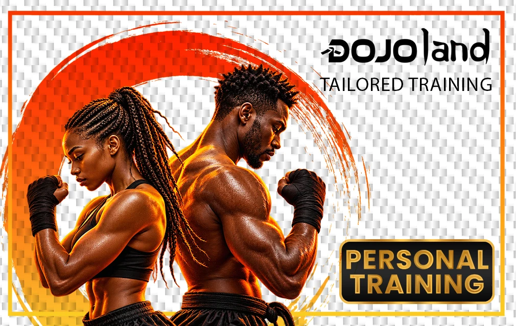 Cours privé au dojo